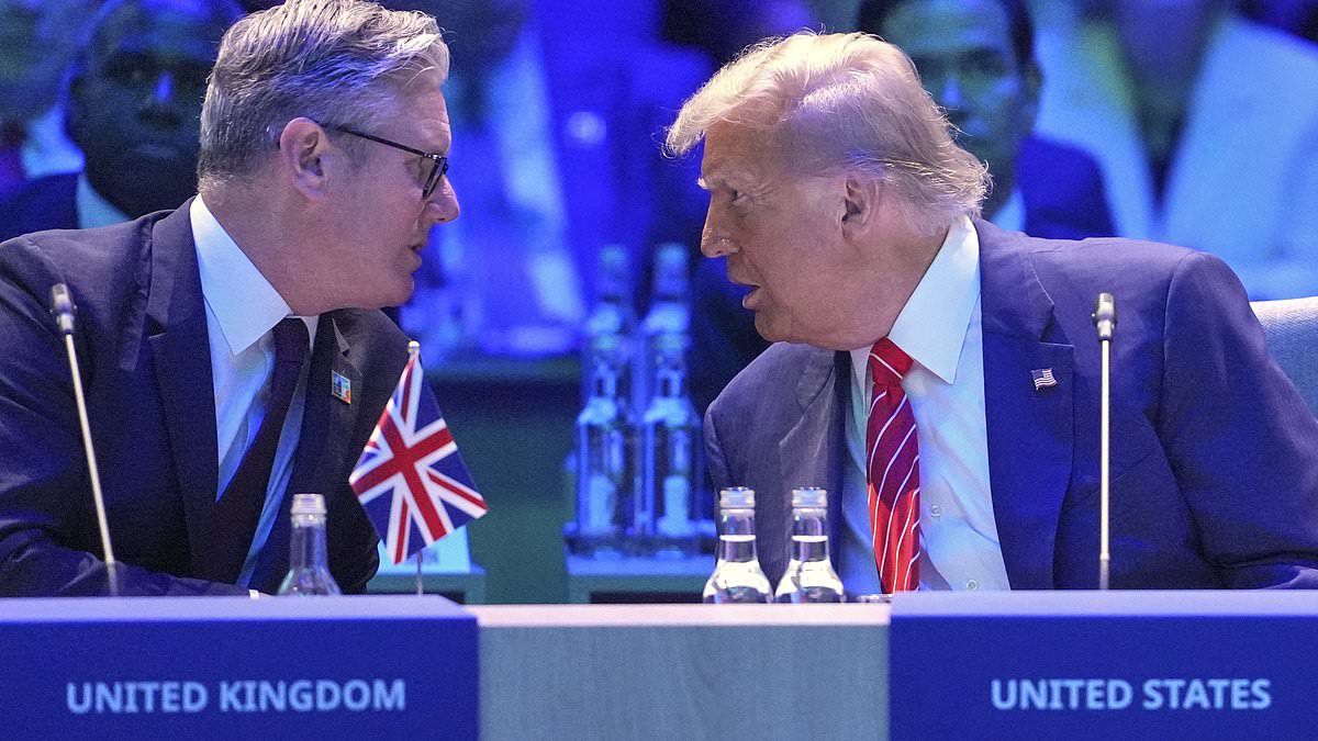 NATO summit decides to take up to 5% from everyone’s pocket