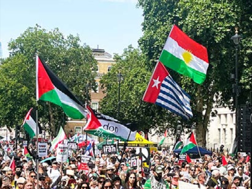 Marching for Palestine!